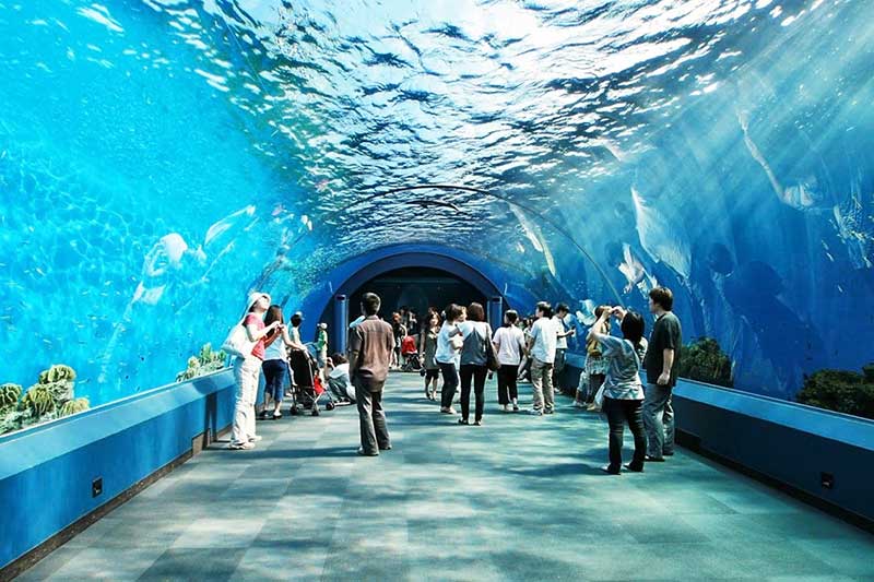Các tính năng cốt lõi của hệ thống bán vé cho thủy cung chuyên nghiệp từ Hoàng Phát JSC 4 Các tính năng cốt lõi của hệ thống bán vé cho thủy cung chuyên nghiệp từ Hoàng Phát JSC | hệ thống bán vé cho thủy cung